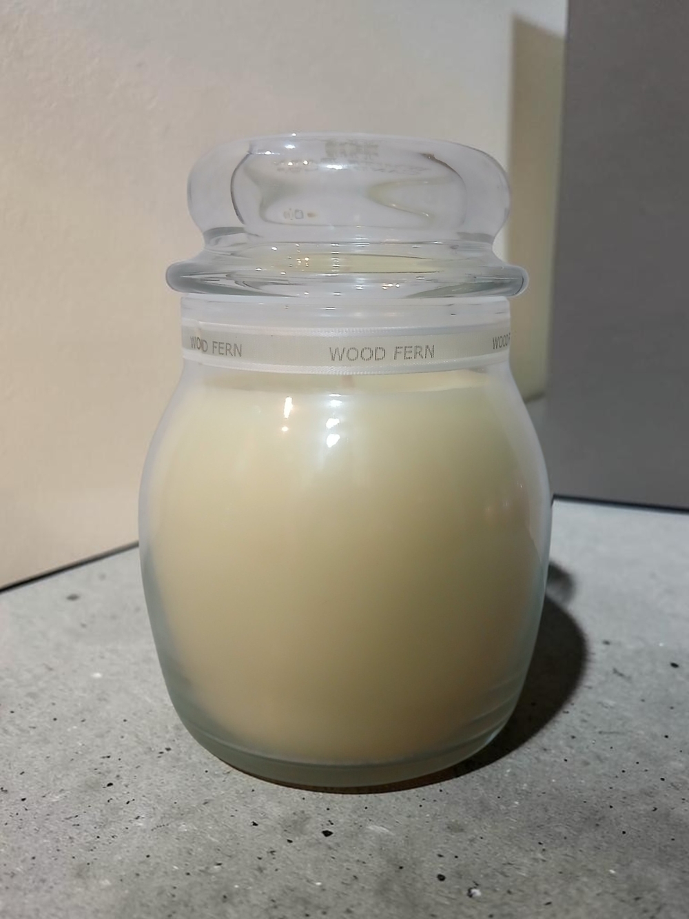 Wood Fern Scented Jar Candle - Cream